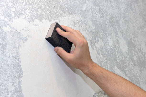 Best Real Estate Mold Inspection  in Mazon, IL