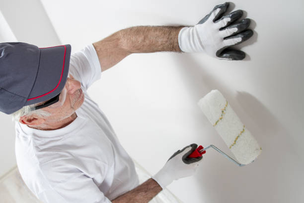 Best HVAC Mold Inspection and Cleaning  in Mazon, IL
