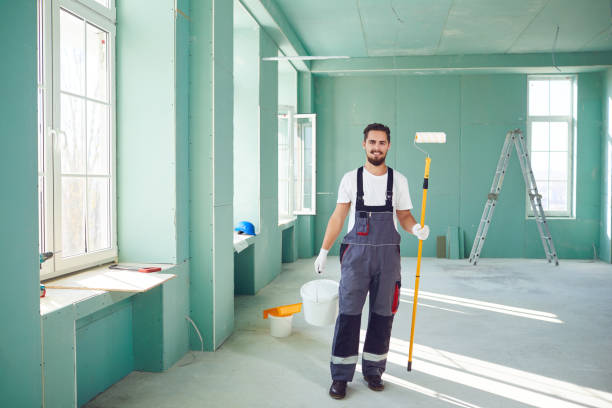 Best Post-Construction Mold Inspection  in Mazon, IL