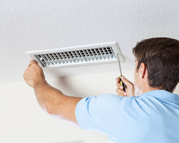 Best Industrial Mold Remediation  in Mazon, IL