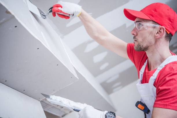 Best Mold Prevention Services  in Mazon, IL